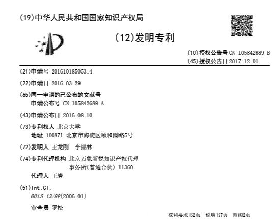 中國專利著錄項目