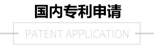 國內(nèi)專利申請(qǐng)
