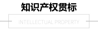 知識產(chǎn)權(quán)