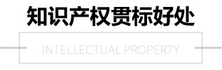 知識產(chǎn)權(quán)貫標(biāo)的好處
