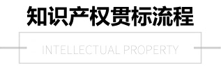 知識產(chǎn)權(quán)貫標(biāo)的流程