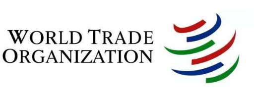 1995年印度加入WTO，開始承認西方國家的藥物專利