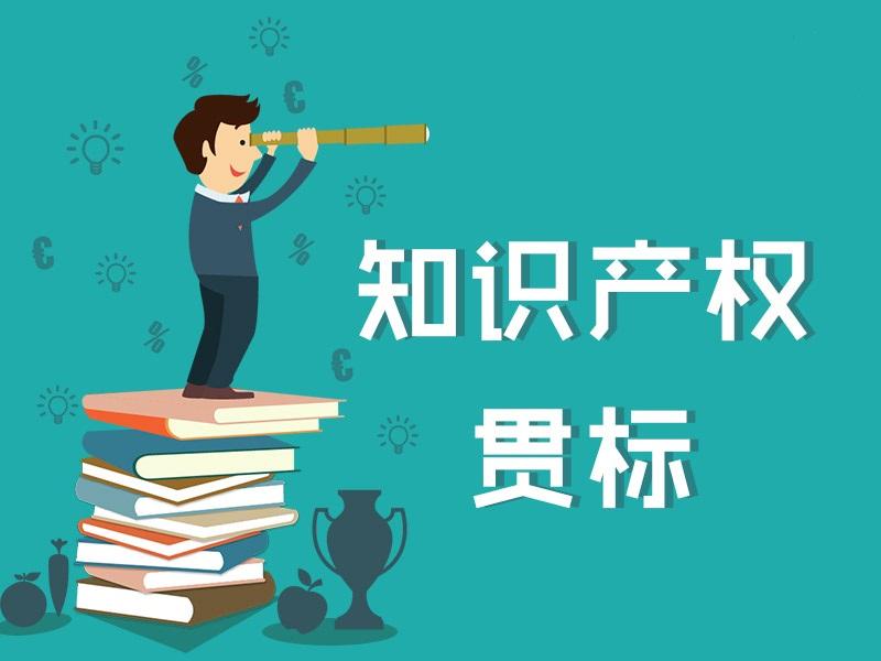 企業(yè)進行知識產權貫標的目的及好處